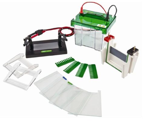 Vertical Gel Electrophoresis System With Electrophoresis