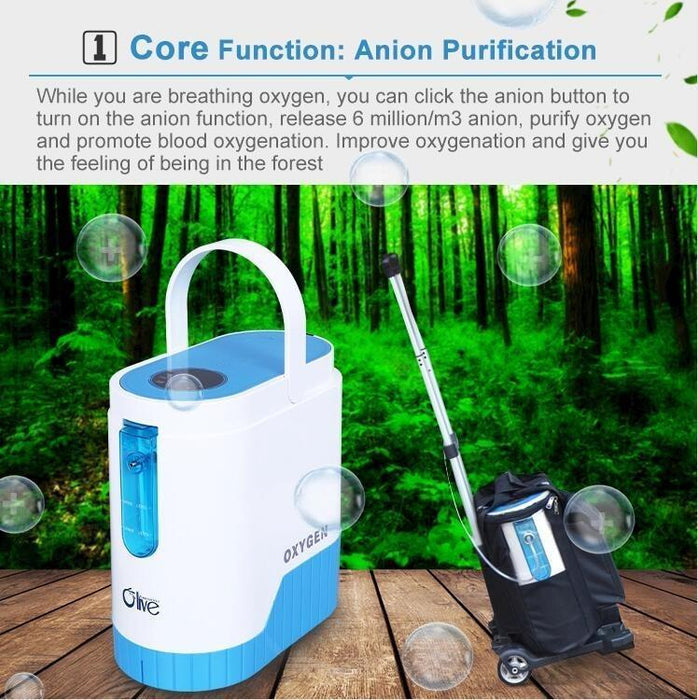 1-5L/Min 24hours continuous Portable Oxygen Concentrator With Battery With Trolley for Home Car Power Use - Mayerwood Retail