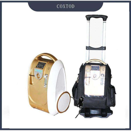 1L-5L/Min Trolley 24hours continuous Portable Oxygen Generator Concentrator Battery/Travel/Home Use Oxygen Machine - Able Oxygen