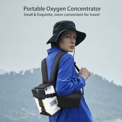 1L continuous Flow/2L-3L Pulse Flow Portable Medical Home