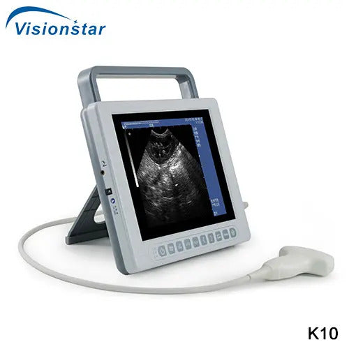 Veterinary B Mode Portable Laptop Ultrasound Scanner With 6.5MHz linear rectal probe I K10