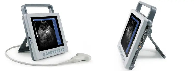 Veterinary B Mode Portable Laptop Ultrasound Scanner With 6.5MHz linear rectal probe I K10