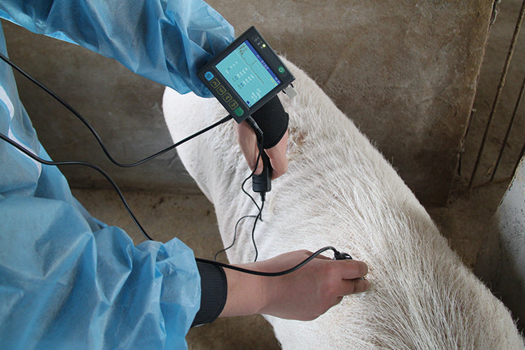 Veterinary B Mode Portable Ultrasound Scanner I MSU-3