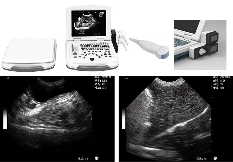 Black & White Portable Laptop Veterinary Ultrasound Machine I VET-3 2D M32