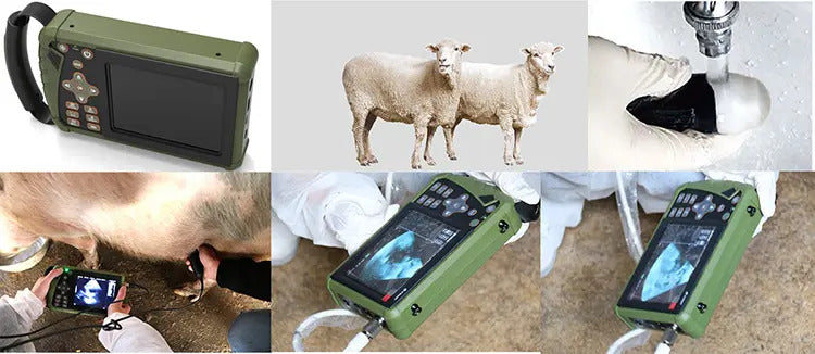 Handheld Veterinary Ultrasound Machine I Model VET-5 I Black